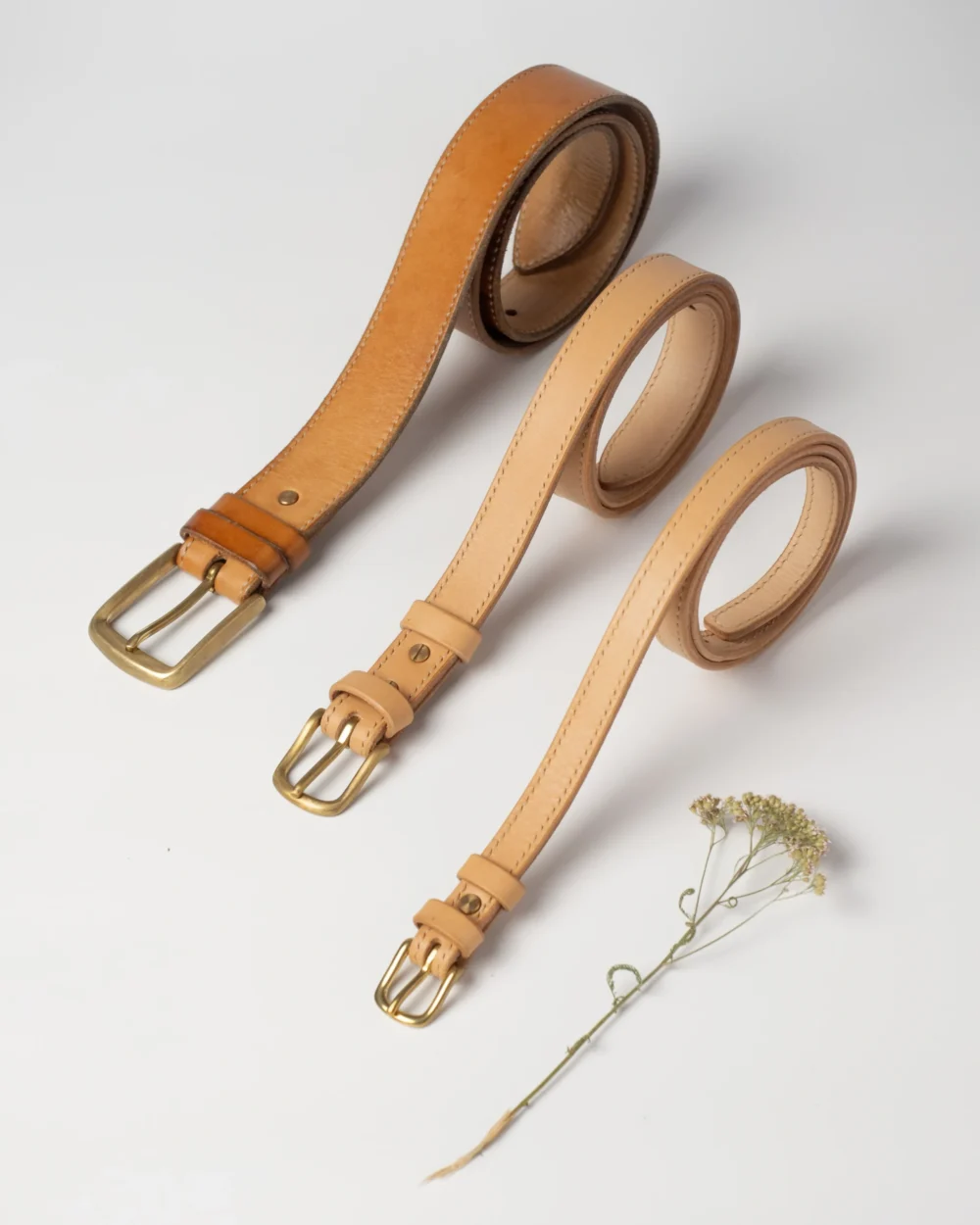 pasek-buttero-habaz-naturalny-produkt-kolekcja Trzy skórzane paski Buttero w odcieniach od jasnego beżu do karmelowego (patynowane), z mosiężnymi klamrami.