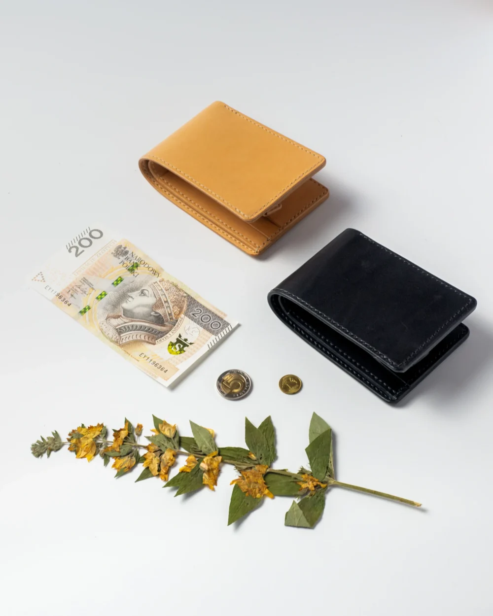 Portfel – Mniszek lekarski| (Taraxacum officinale F.H. Wigg.) | - Czarny