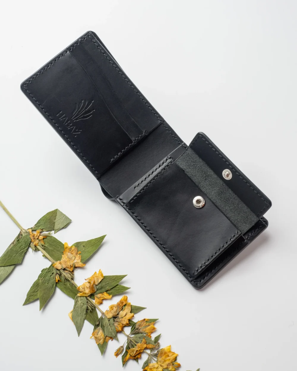 Portfel – Mniszek lekarski| (Taraxacum officinale F.H. Wigg.) | - Czarny