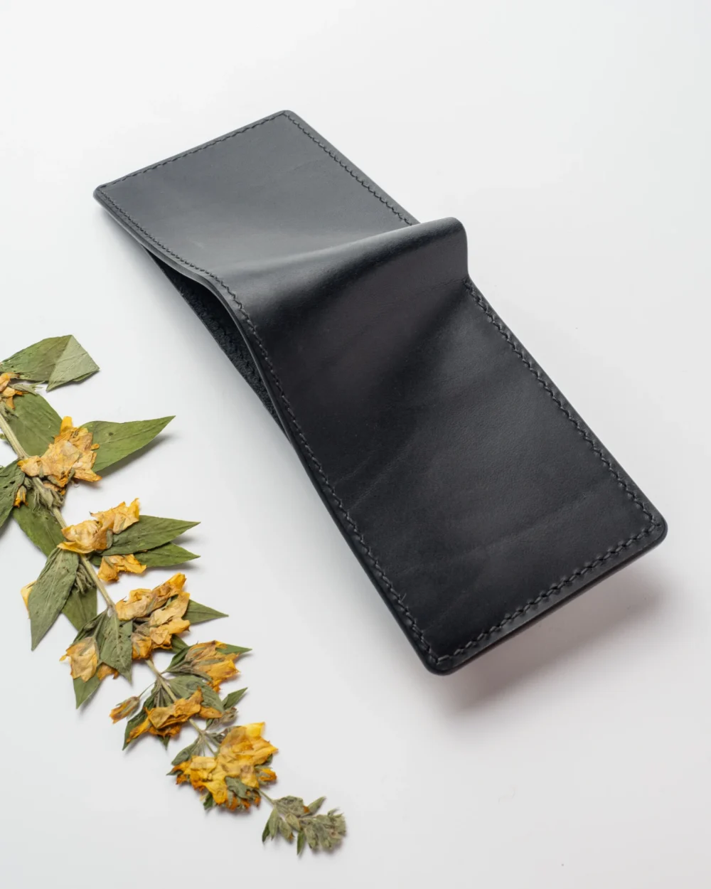 Portfel – Mniszek lekarski| (Taraxacum officinale F.H. Wigg.) | - Czarny