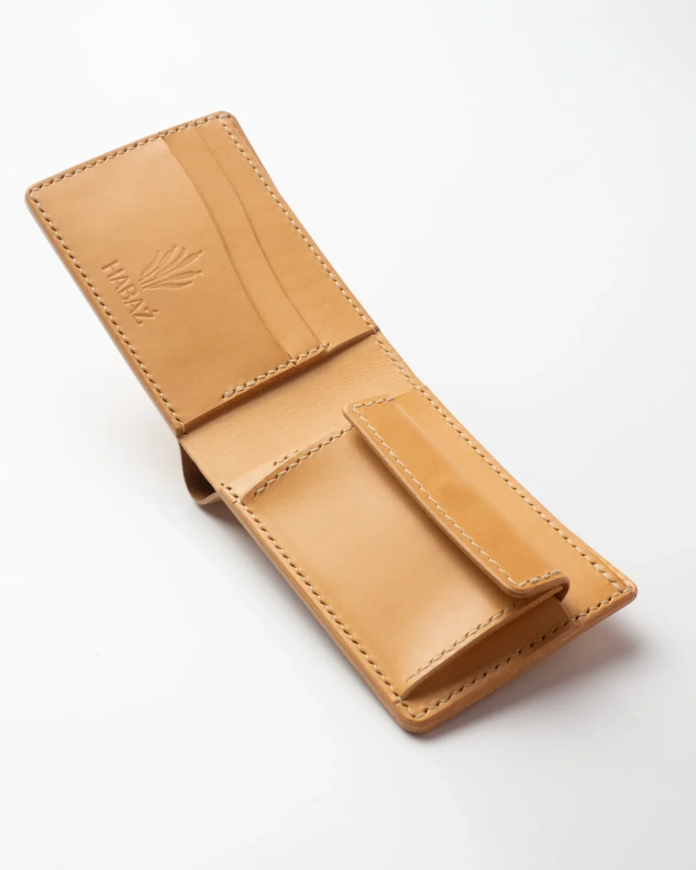 P1230555 Portfel – Mniszek lekarski| (Taraxacum officinale F.H. Wigg.) |