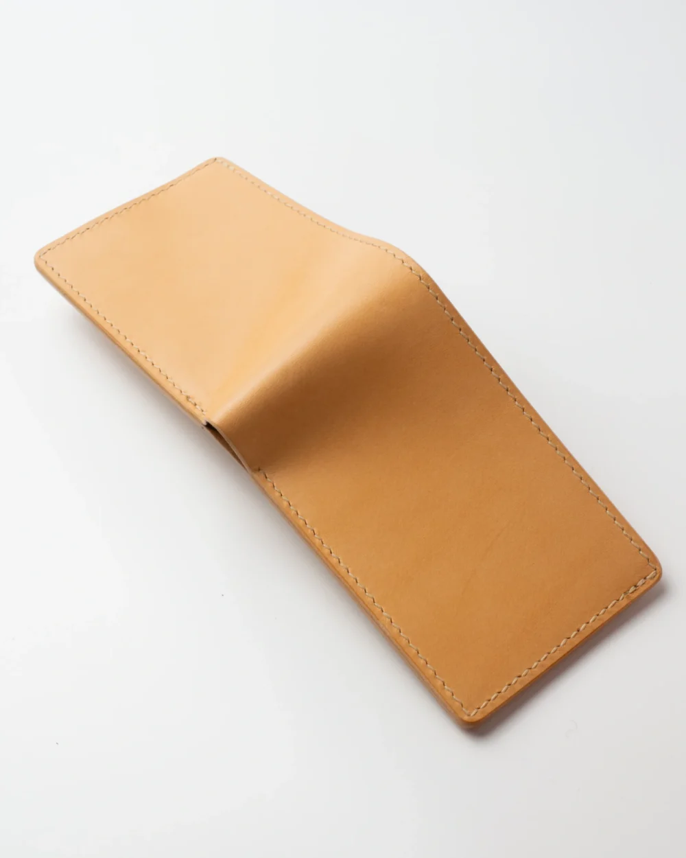 P1230556 Portfel – Mniszek lekarski| (Taraxacum officinale F.H. Wigg.) |